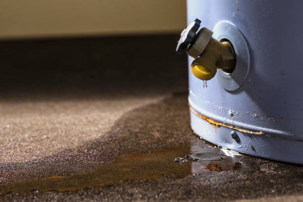 Best Flood damage cleanup  in Ypsilanti, MI