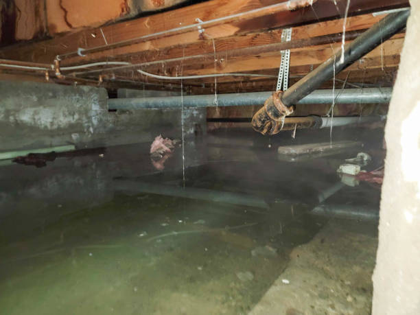Best Water damage restoration near me  in Ypsilanti, MI