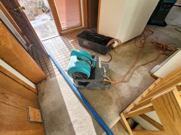 Water damage restoration mold remediation in Ypsilanti, MI