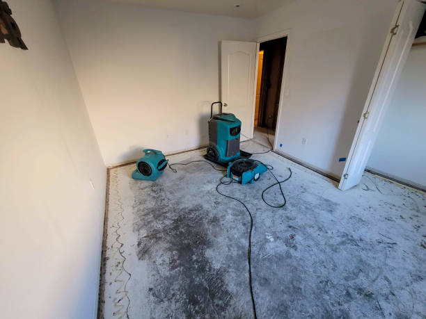 Best 24-hour water damage restoration  in Ypsilanti, MI