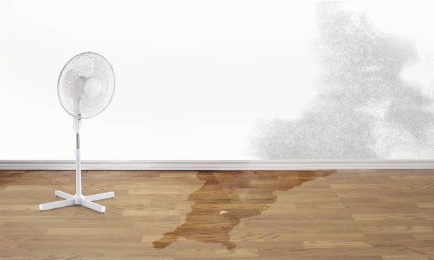 Best Residential water damage restoration  in Ypsilanti, MI