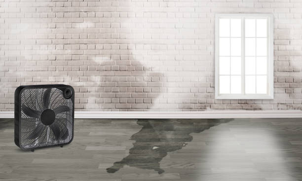 Water damage restoration experts in Ypsilanti, MI
