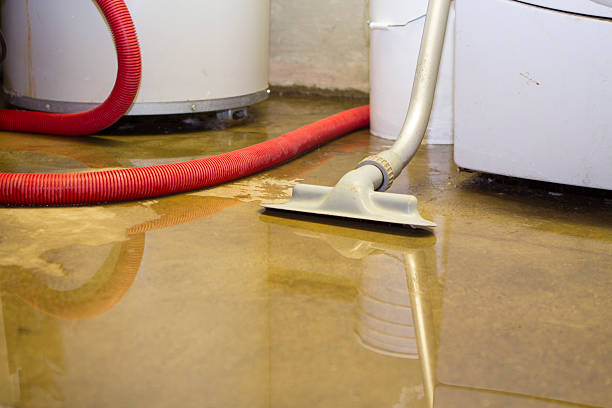 Best Flooded house restoration  in Ypsilanti, MI