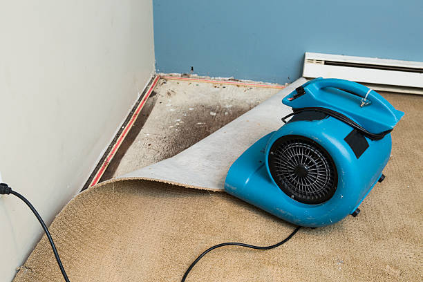 Professional Water damage restoration in Ypsilanti, MI